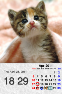 calendar.png